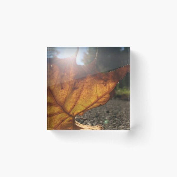 Item preview, golden leaf with sunspark, no filter photograph designed and sold by GiSilver.