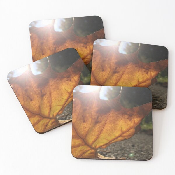 Item preview, golden leaf with sunspark, no filter photograph designed and sold by GiSilver.