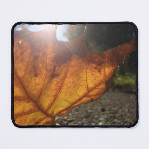 Item preview, golden leaf with sunspark, no filter photograph designed and sold by GiSilver.