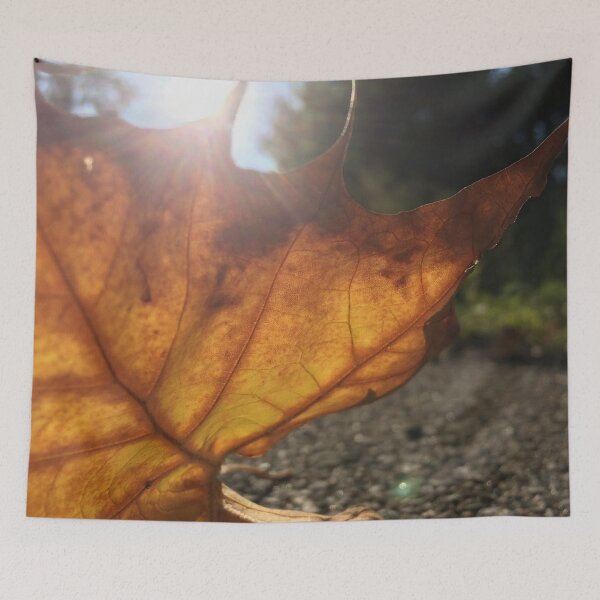 Item preview, golden leaf with sunspark, no filter photograph designed and sold by GiSilver.