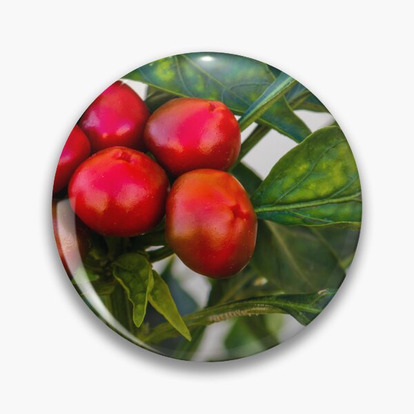 Item preview, Vibrant Red And Green Pepper Cluster On Lush Pepper Plant For Fresh Garden Produce designed and sold by Nmallia.