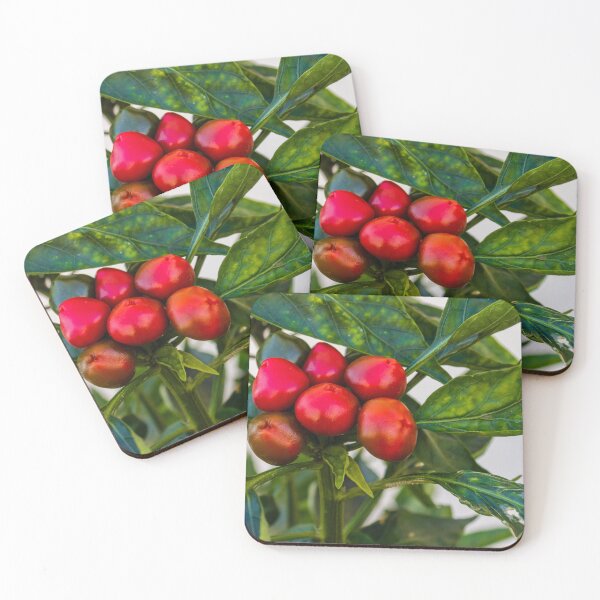 Item preview, Vibrant Red And Green Pepper Cluster On Lush Pepper Plant For Fresh Garden Produce designed and sold by Nmallia.