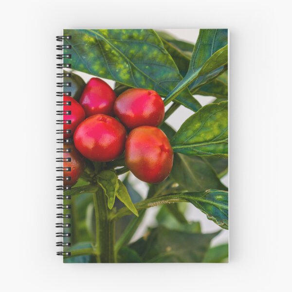 Item preview, Vibrant Red And Green Pepper Cluster On Lush Pepper Plant For Fresh Garden Produce designed and sold by Nmallia.