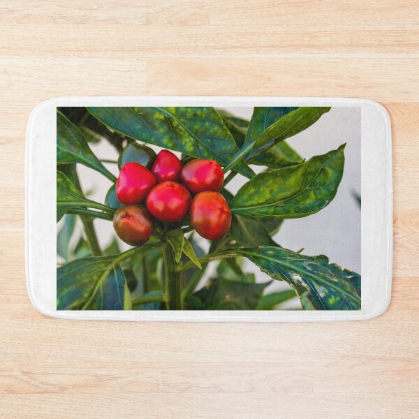 Item preview, Vibrant Red And Green Pepper Cluster On Lush Pepper Plant For Fresh Garden Produce designed and sold by Nmallia.