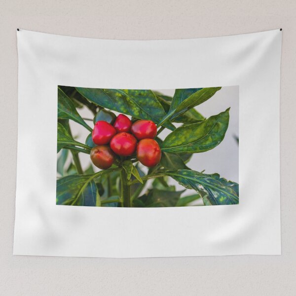 Item preview, Vibrant Red And Green Pepper Cluster On Lush Pepper Plant For Fresh Garden Produce designed and sold by Nmallia.