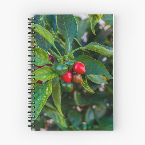 Item preview, Vibrant Red And Green Pepper Cluster On Lush Pepper Plant For Fresh Garden Produce designed and sold by Nmallia.
