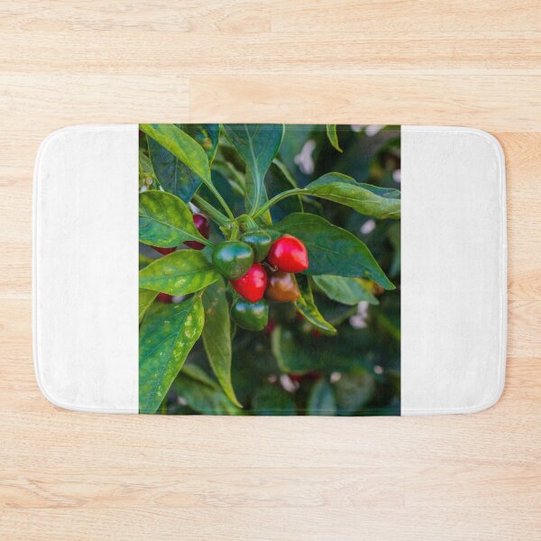Item preview, Vibrant Red And Green Pepper Cluster On Lush Pepper Plant For Fresh Garden Produce designed and sold by Nmallia.