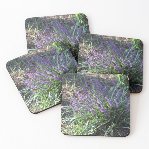 Item preview, Liriope in the Morning Sun designed and sold by gistinker.