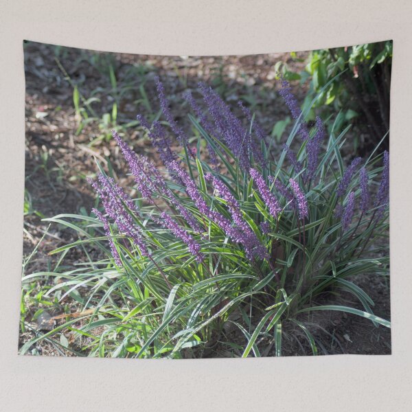 Item preview, Liriope in the Morning Sun designed and sold by gistinker.