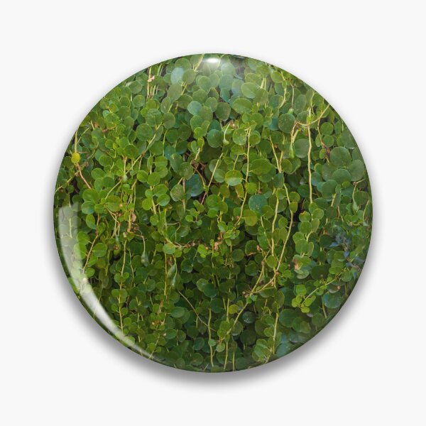 Item preview, Dense Green Vines With Small Round Leaves Covering a Wall in a Lush Garden Setting designed and sold by Nmallia.