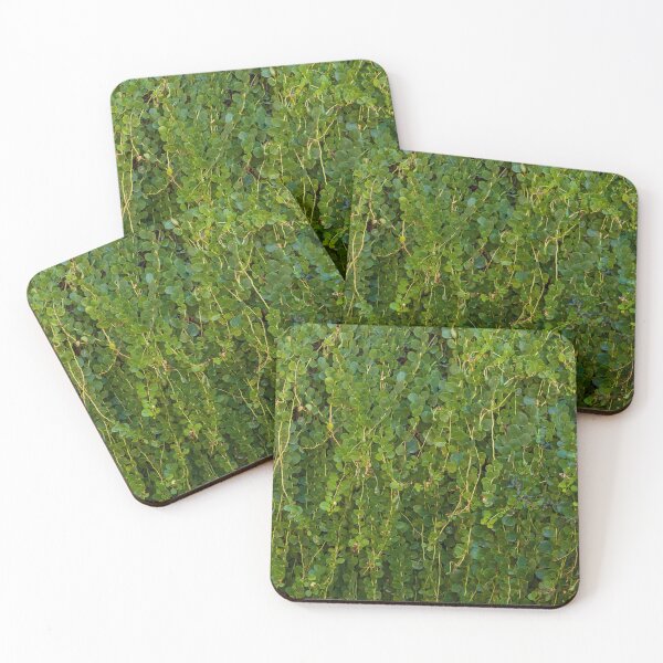 Item preview, Dense Green Vines With Small Round Leaves Covering a Wall in a Lush Garden Setting designed and sold by Nmallia.