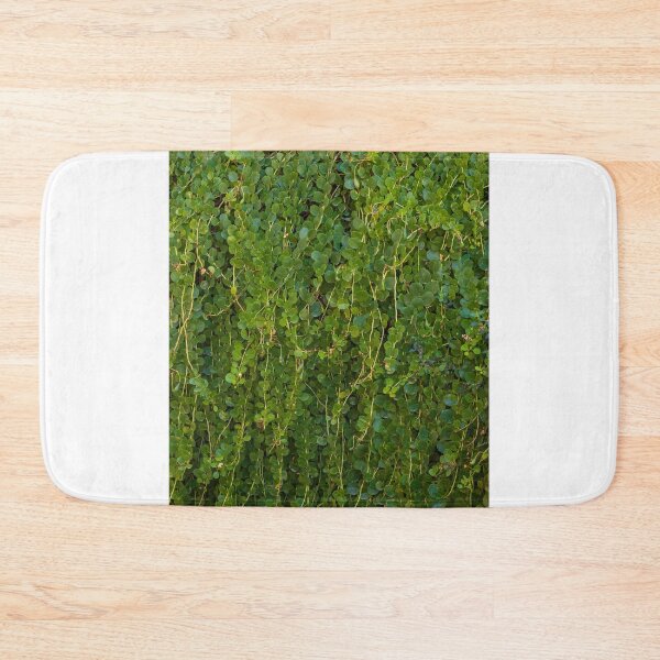 Item preview, Dense Green Vines With Small Round Leaves Covering a Wall in a Lush Garden Setting designed and sold by Nmallia.