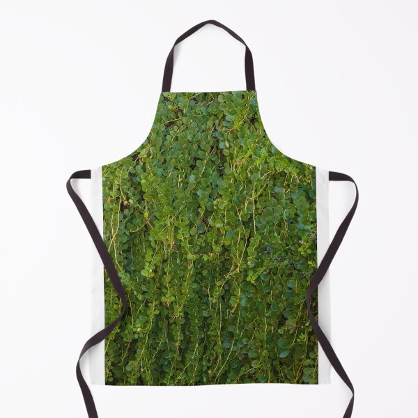 Item preview, Dense Green Vines With Small Round Leaves Covering a Wall in a Lush Garden Setting designed and sold by Nmallia.
