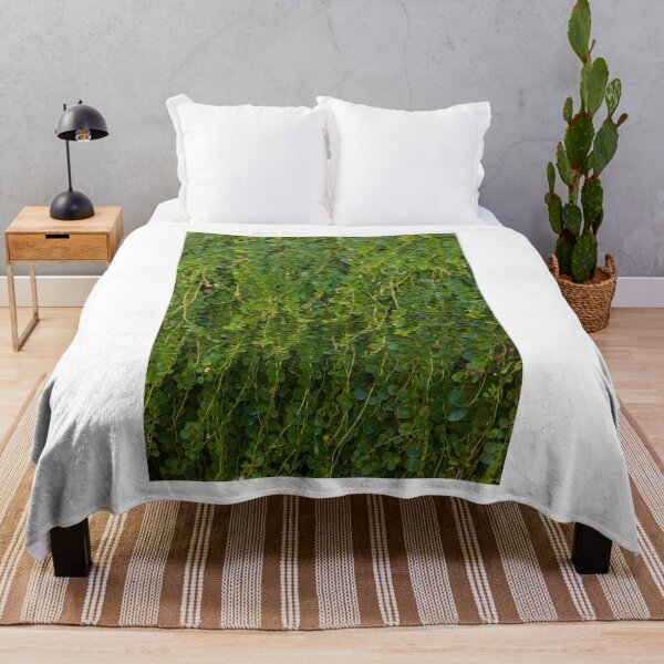 Item preview, Dense Green Vines With Small Round Leaves Covering a Wall in a Lush Garden Setting designed and sold by Nmallia.