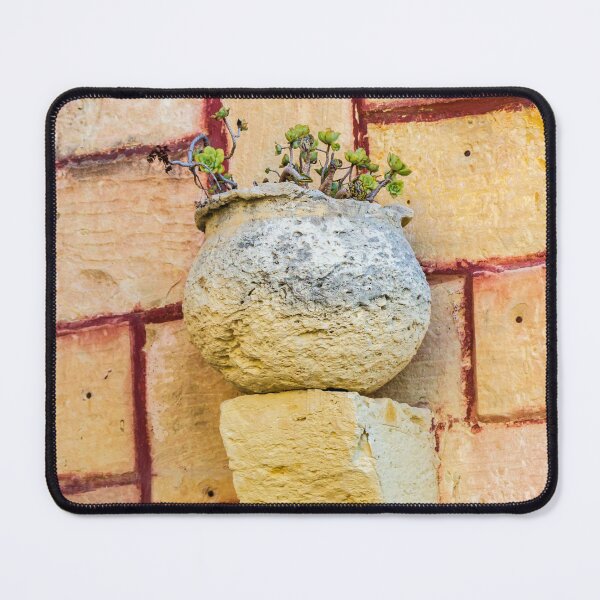 Item preview, Ancient Stone Planter with Succulent Plants Mounted on a Warm, Sunlit Terracotta Wall designed and sold by Nmallia.
