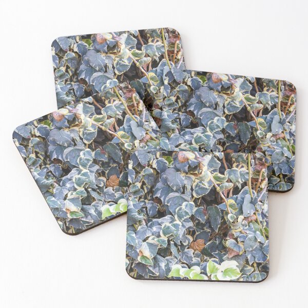 Item preview, Variegated Ivy Climber With Cream Edges Covering a Dense Green Wall of Vines designed and sold by Nmallia.