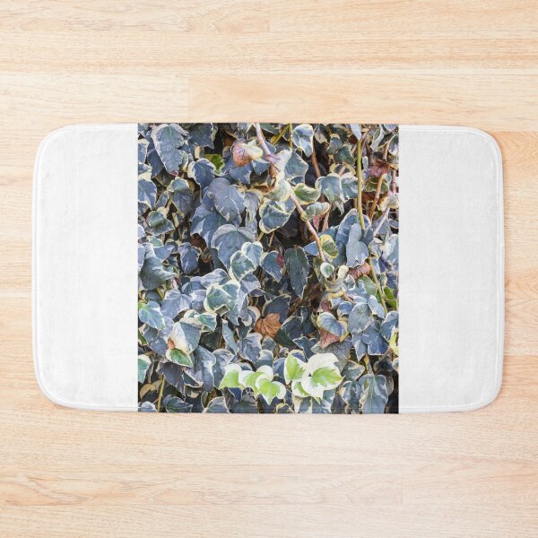 Item preview, Variegated Ivy Climber With Cream Edges Covering a Dense Green Wall of Vines designed and sold by Nmallia.