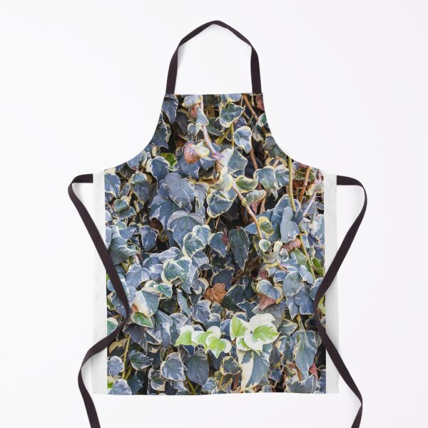 Item preview, Variegated Ivy Climber With Cream Edges Covering a Dense Green Wall of Vines designed and sold by Nmallia.