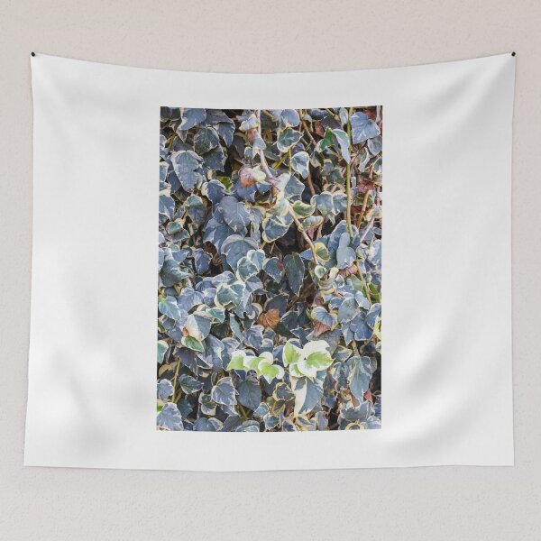 Item preview, Variegated Ivy Climber With Cream Edges Covering a Dense Green Wall of Vines designed and sold by Nmallia.