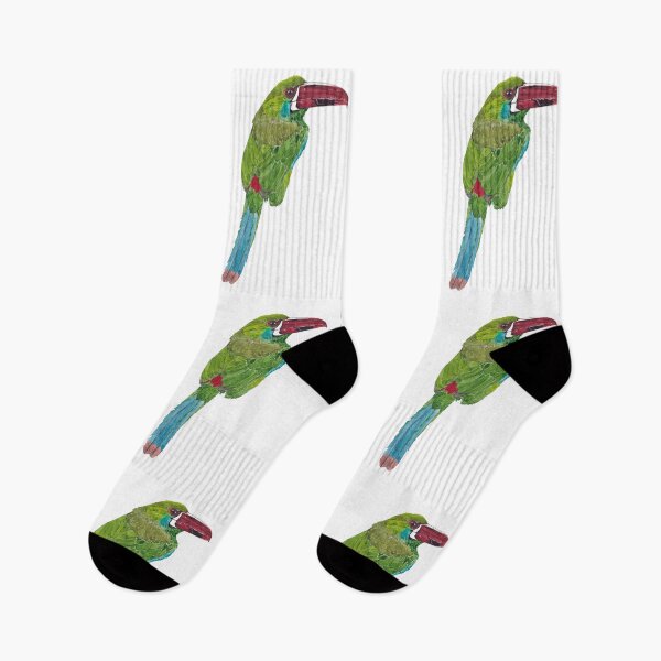 Item preview, CRIMSON RUMPED TOUCANET-Aulacorhynchus haematopygus designed and sold by BEATRIZ ABAITUA.