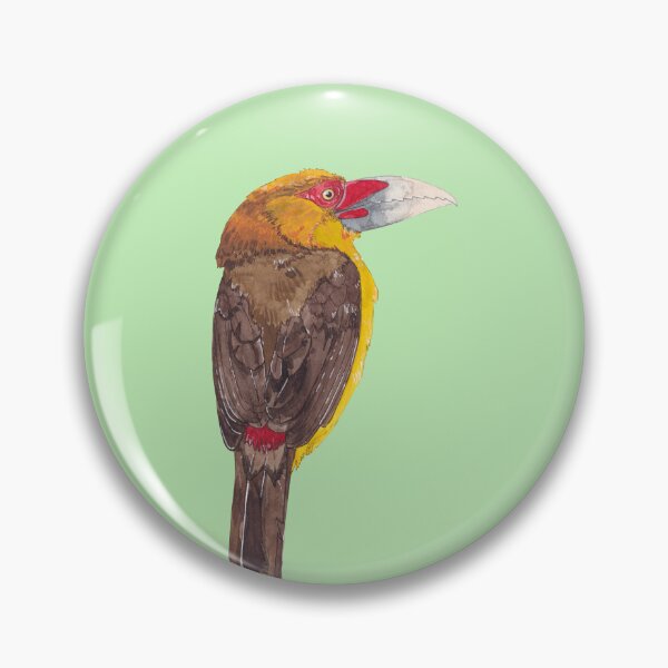 Item preview, SAFFRON TOUCANET-Pteroglossus bailloni designed and sold by BEATRIZ ABAITUA.
