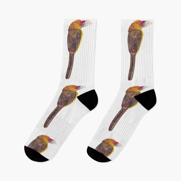 Item preview, SAFFRON TOUCANET-Pteroglossus bailloni designed and sold by BEATRIZ ABAITUA.