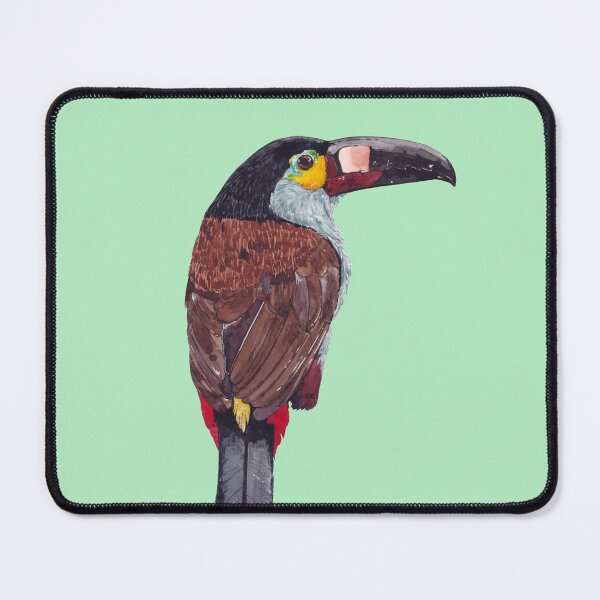 Item preview, PLATE BILLED MOUNTAIN- Andigena laminirostris designed and sold by BEATRIZ ABAITUA.