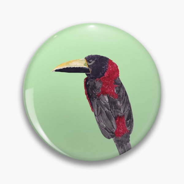 Item preview, RED NECKED ARACARI-Pteroglossus bitorquatus designed and sold by BEATRIZ ABAITUA.