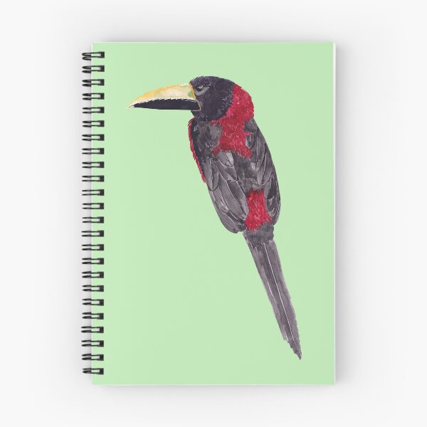 Item preview, RED NECKED ARACARI-Pteroglossus bitorquatus designed and sold by BEATRIZ ABAITUA.