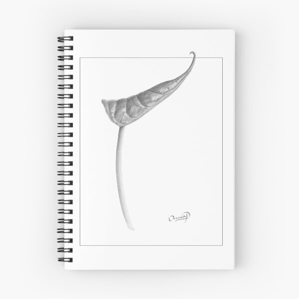 Item preview, Anthurium: Graphite Botanical Portrait designed and sold by AnnaProninaArt.