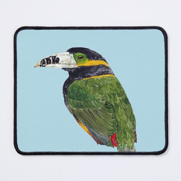Item preview, SPOT BILLED TOUCANET- Selenidera maculirostris designed and sold by BEATRIZ ABAITUA.