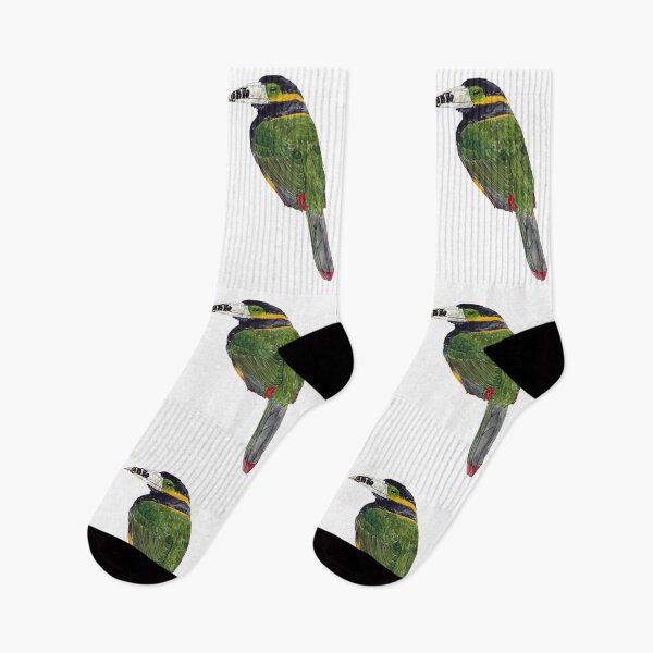 Item preview, SPOT BILLED TOUCANET- Selenidera maculirostris designed and sold by BEATRIZ ABAITUA.