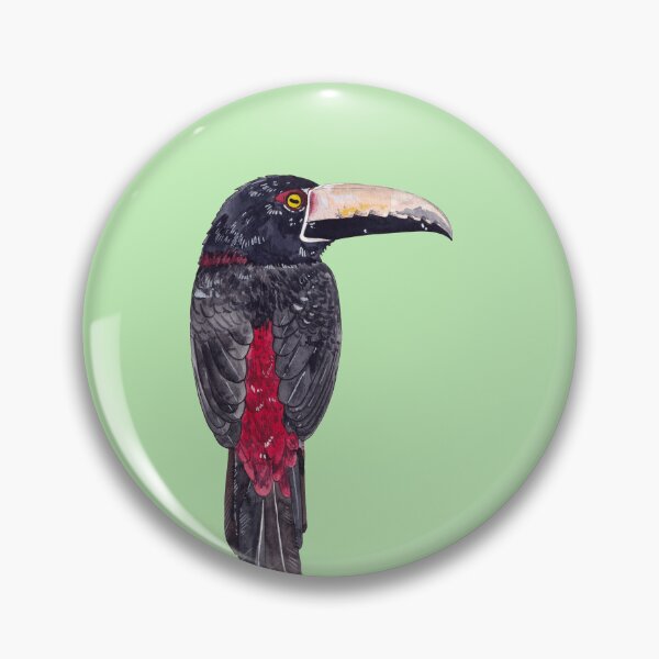 Item preview, COLLARED ARACARI-Pteroglossus torquatus designed and sold by BEATRIZ ABAITUA.