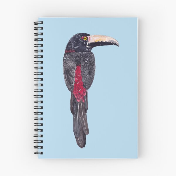 Item preview, COLLARED ARACARI-Pteroglossus torquatus designed and sold by BEATRIZ ABAITUA.