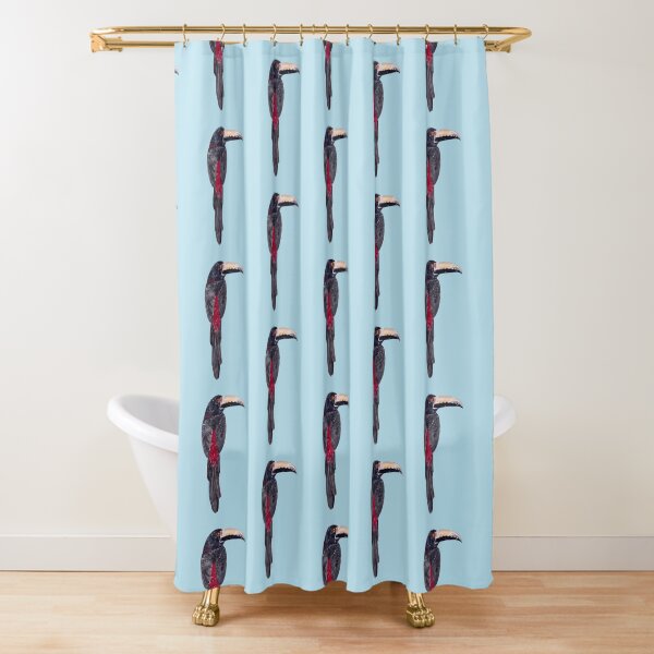 Item preview, COLLARED ARACARI-Pteroglossus torquatus designed and sold by BEATRIZ ABAITUA.