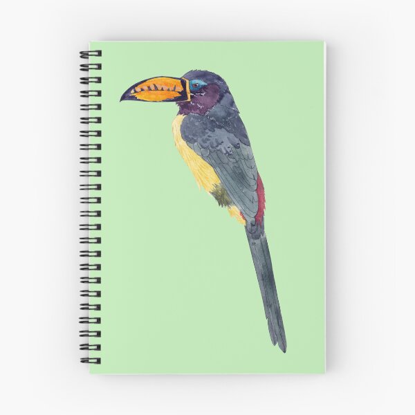 Item preview, LETTERED ARACARI-Pteroglossus inscriptus designed and sold by BEATRIZ ABAITUA.