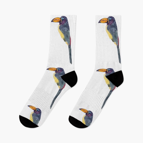 Item preview, LETTERED ARACARI-Pteroglossus inscriptus designed and sold by BEATRIZ ABAITUA.