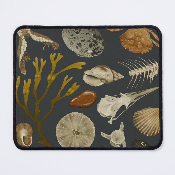 Item preview, Shore Findings designed and sold by nfbratbak.
