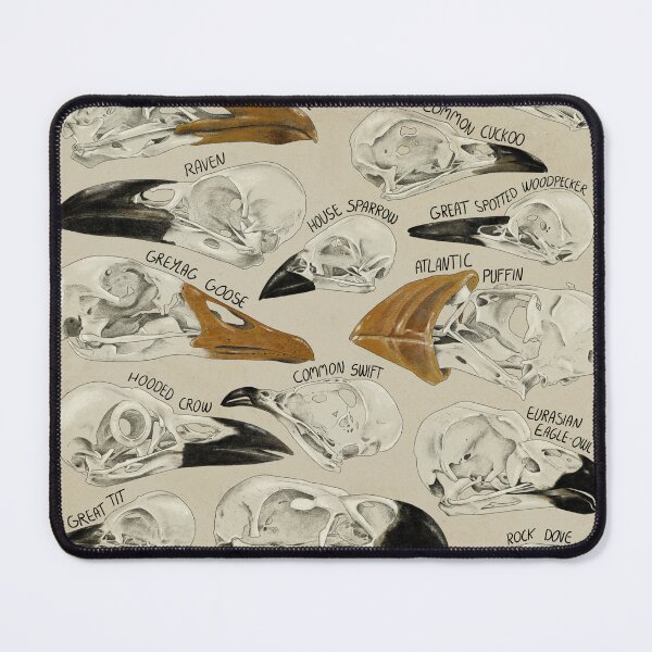 Item preview, Bird Skulls designed and sold by nfbratbak.