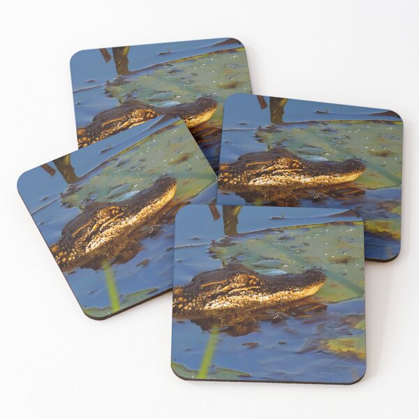 Item preview, Young Louisiana Alligator designed and sold by Wait, Watch and Wander Shop.