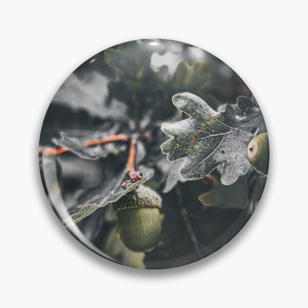 Item preview, Oak Branch Acorns Moody Autumn Nature Photography designed and sold by BetweenForms.