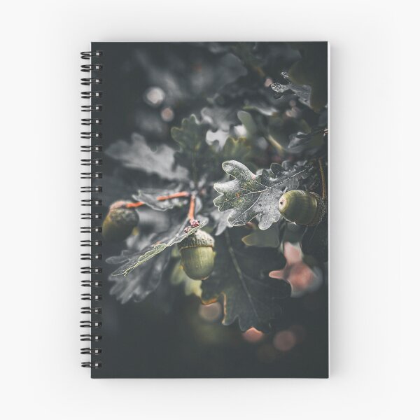 Item preview, Oak Branch Acorns Moody Autumn Nature Photography designed and sold by BetweenForms.