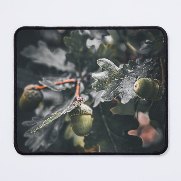 Item preview, Oak Branch Acorns Moody Autumn Nature Photography designed and sold by BetweenForms.