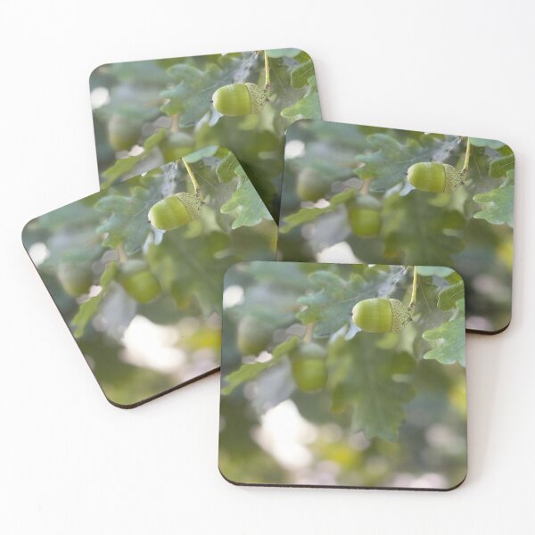 Item preview, Oak Branch Acorns Autumn Nature Photography designed and sold by BetweenForms.