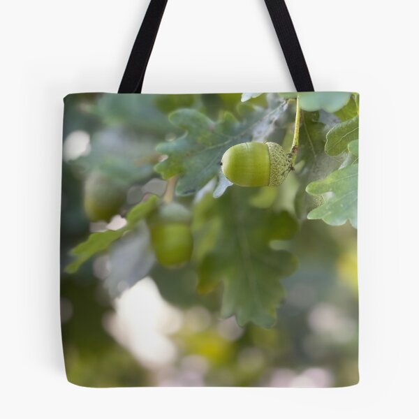 Item preview, Oak Branch Acorns Autumn Nature Photography designed and sold by BetweenForms.