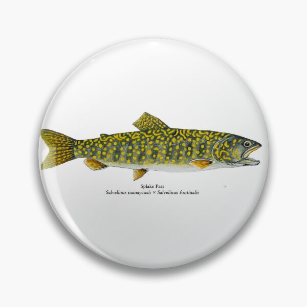 Item preview, Splake Parr Painting designed and sold by Stephen Emms.