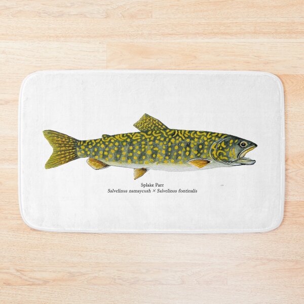 Item preview, Splake Parr Painting designed and sold by Stephen Emms.