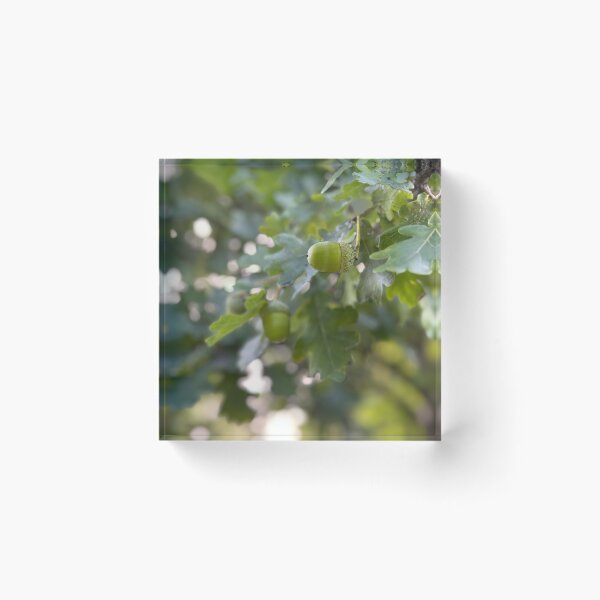 Item preview, Oak Branch Acorns Autumn Nature  designed and sold by BetweenForms.