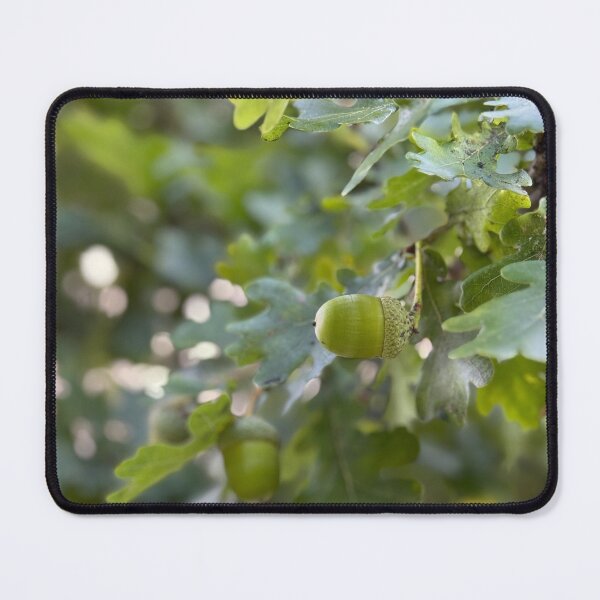 Item preview, Oak Branch Acorns Autumn Nature designed and sold by BetweenForms.
