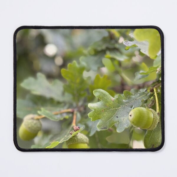 Item preview, Oak Branch Acorns Autumn Nature designed and sold by BetweenForms.